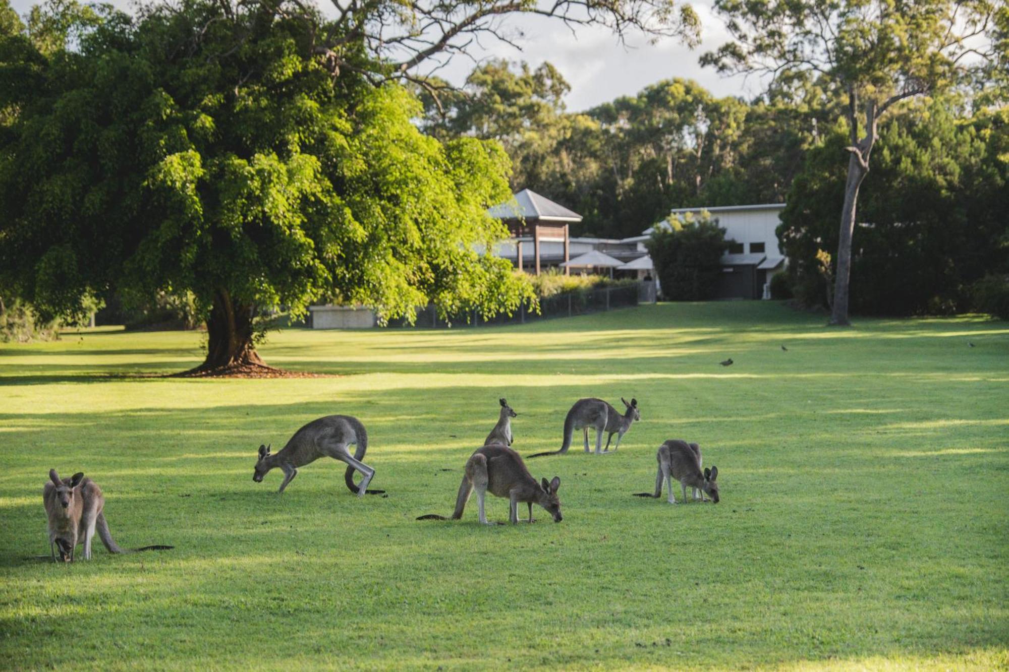 Senses Noosa North Shore ภายนอก รูปภาพ
